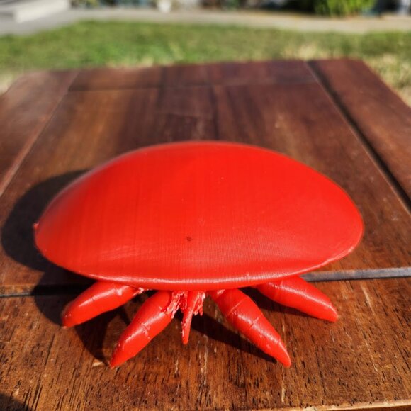 Varroa Mite Varoa Destructor Bug Insect Model Beekeeping Honeybees Bee Save Bees - Picture 5 of 8